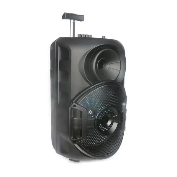 HAUT PARLEUR SANS FIL ZQS 12106 30W BLUETOOTH AVEC SD - NOIR